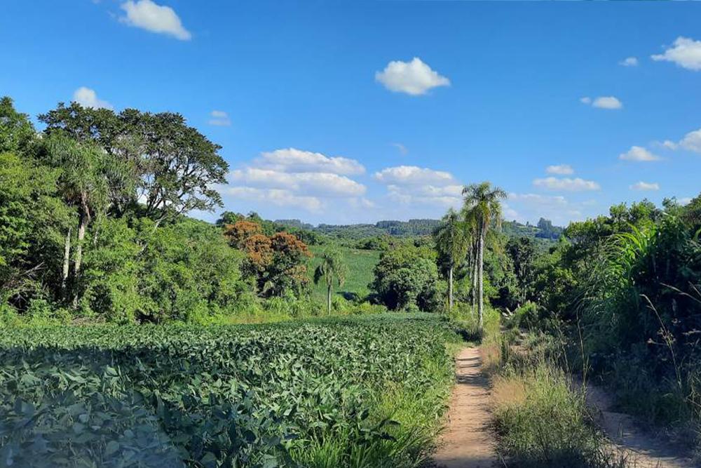 VOCÊ SABE A DIFERENÇA ENTRE CHÁCARA, SÍTIO E FAZENDA?