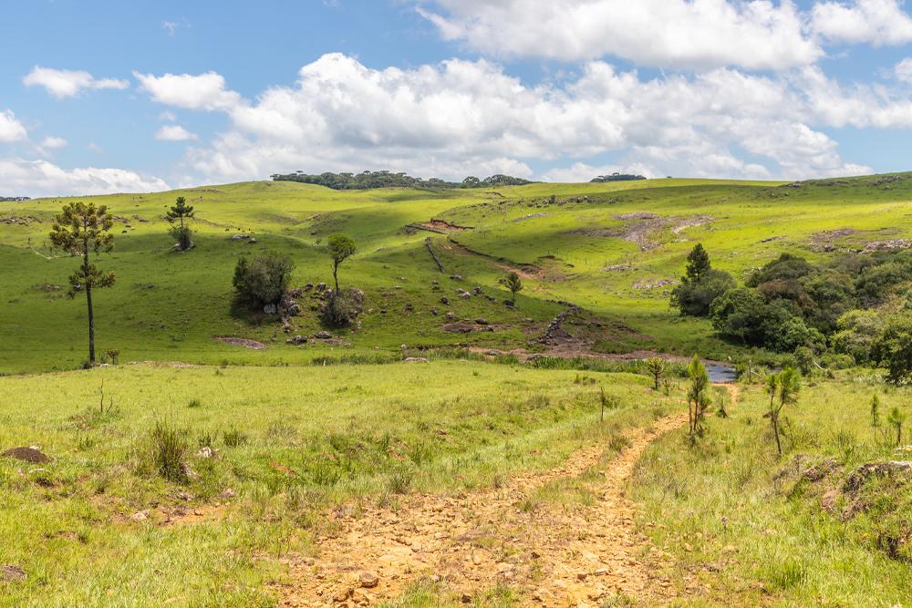 Uma correta avaliação do seu imóvel rural agiliza a negociação